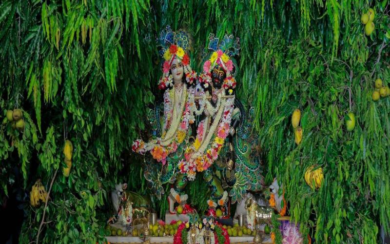 Hariyali Teej Festival Celebration Significance And Rituals 8647